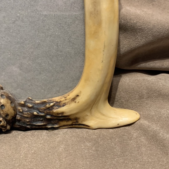 RUSTIC ANTLER HUNTING DOG PICTURE FRAME - Picture 6 of 15